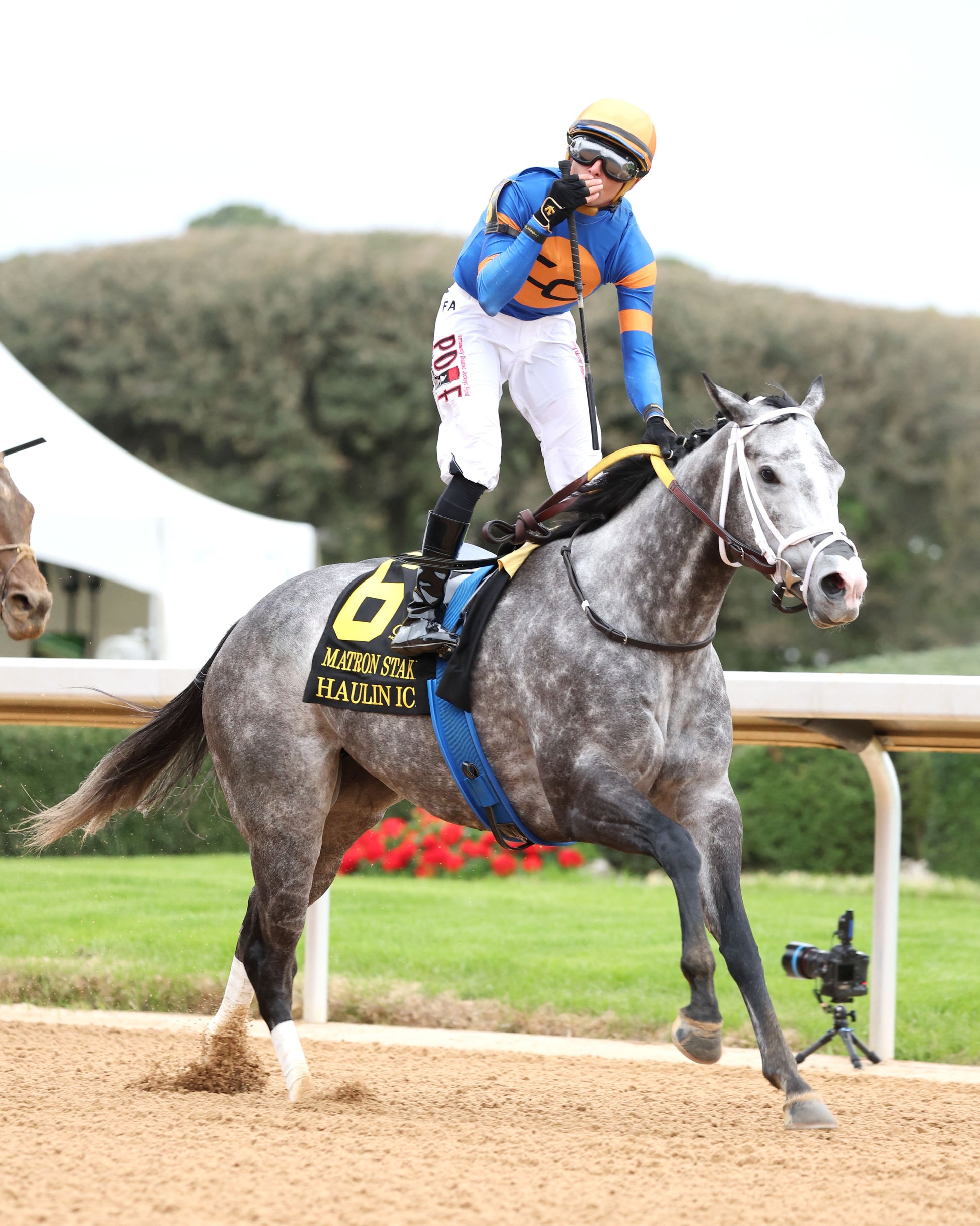 HAULIN ICE - Matron Stakes - 03-27-26 - R09 - OP - Celebration 04 - Coady Media - Kurtis Coady Photography