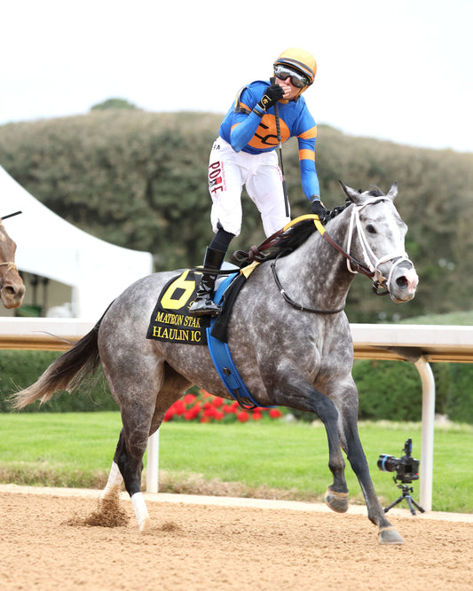 HAULIN ICE - Matron Stakes - 03-27-26 - R09 - OP - Celebration 04 - Coady Media - Kurtis Coady Photography