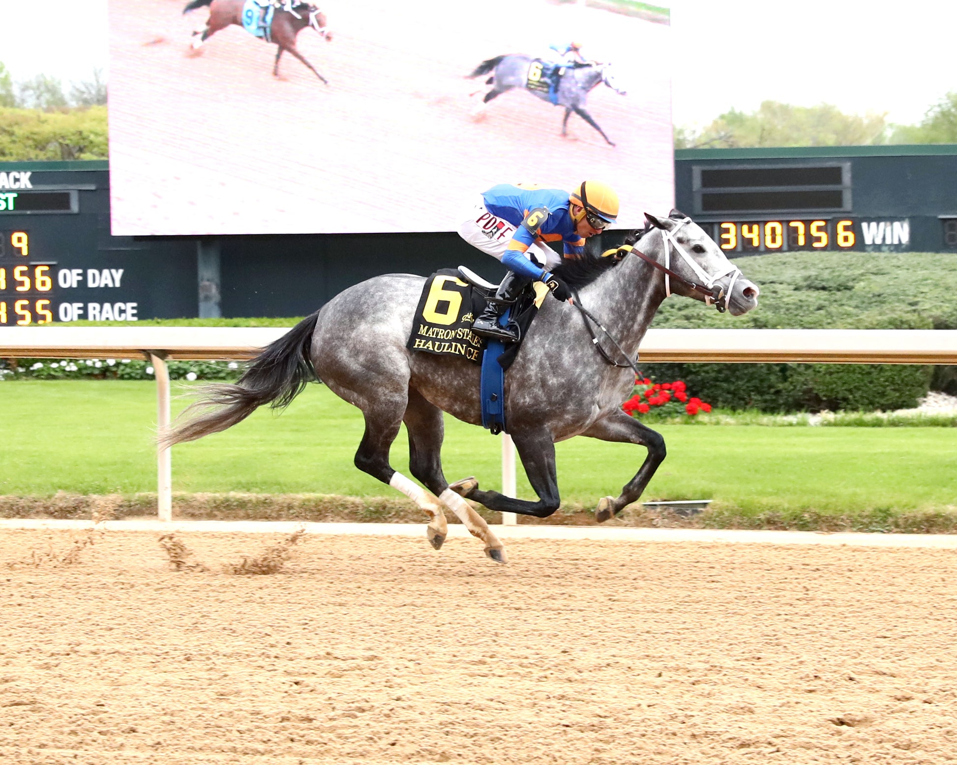 HAULIN ICE - Matron Stakes - 03-27-26 - R09 - OP - Finish 01 - Coady Media - Kurtis Coady Photography