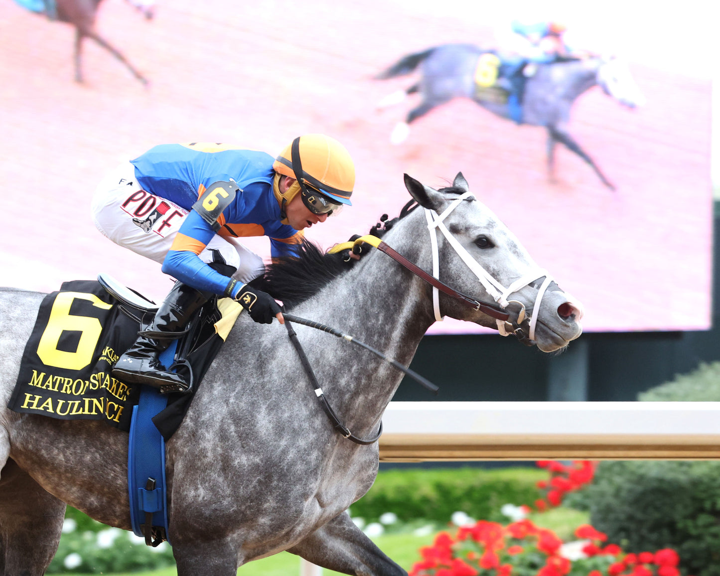 HAULIN ICE - Matron Stakes - 03-27-26 - R09 - OP - Finish 02 - Coady Media - Kurtis Coady Photography