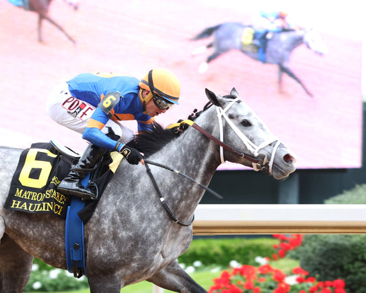 HAULIN ICE - Matron Stakes - 03-27-26 - R09 - OP - Finish 02 - Coady Media - Kurtis Coady Photography