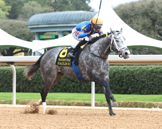 HAULIN ICE - Matron Stakes - 03-27-26 - R09 - OP - Finish 03 - Coady Media - Kurtis Coady Photography