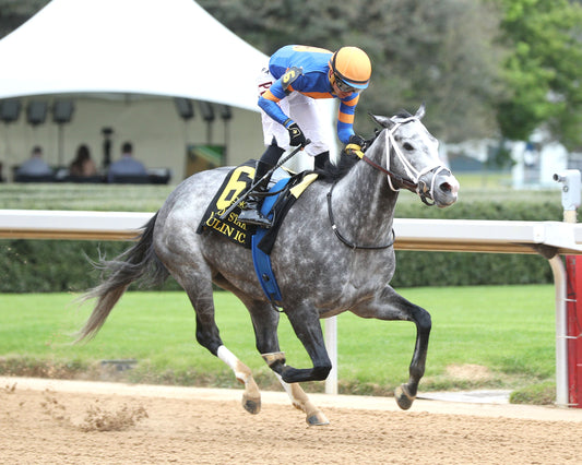 HAULIN ICE - Matron Stakes - 03-27-26 - R09 - OP - Finish 04 - Coady Media - Kurtis Coady Photography