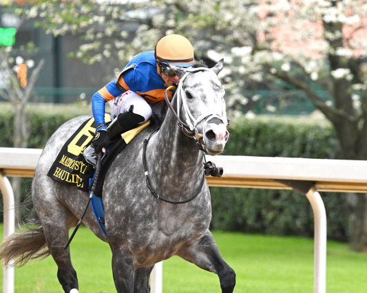 HAULIN ICE - Matron Stakes - 03-27-26 - R09 - OP - Finish 05 - Coady Media - Kurtis Coady Photography