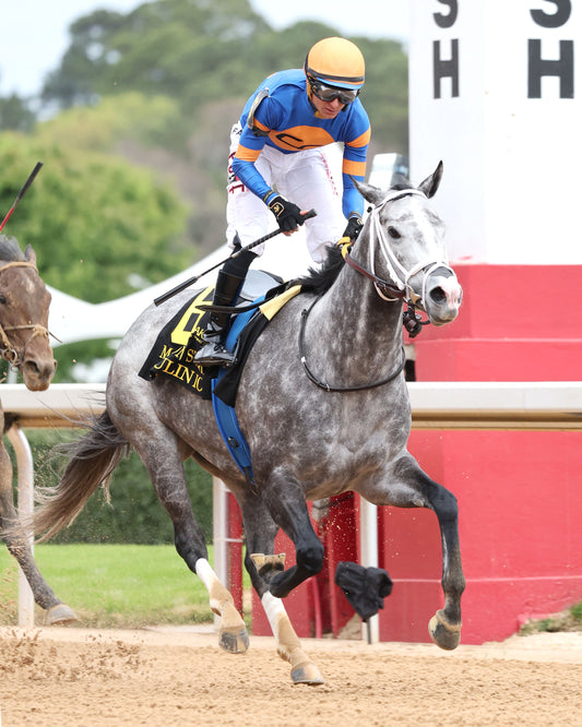HAULIN ICE - Matron Stakes - 03-27-26 - R09 - OP - Finish 06 - Coady Media - Kurtis Coady Photography