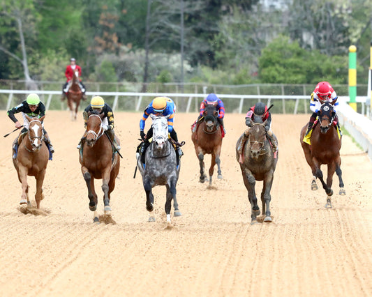 HAULIN ICE - Matron Stakes - 03-27-26 - R09 - OP - Head On 01 - Coady Media - Kurtis Coady Photography