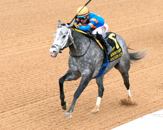 HAULIN ICE - Matron Stakes - 03-27-26 - R09 - OP - Inside Finish 01 - Coady Media - Kurtis Coady Photography