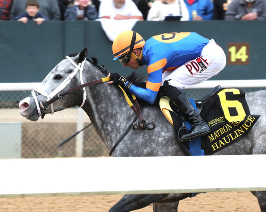 HAULIN ICE - Matron Stakes - 03-27-26 - R09 - OP - Inside Finish 02 - Coady Media - Kurtis Coady Photography