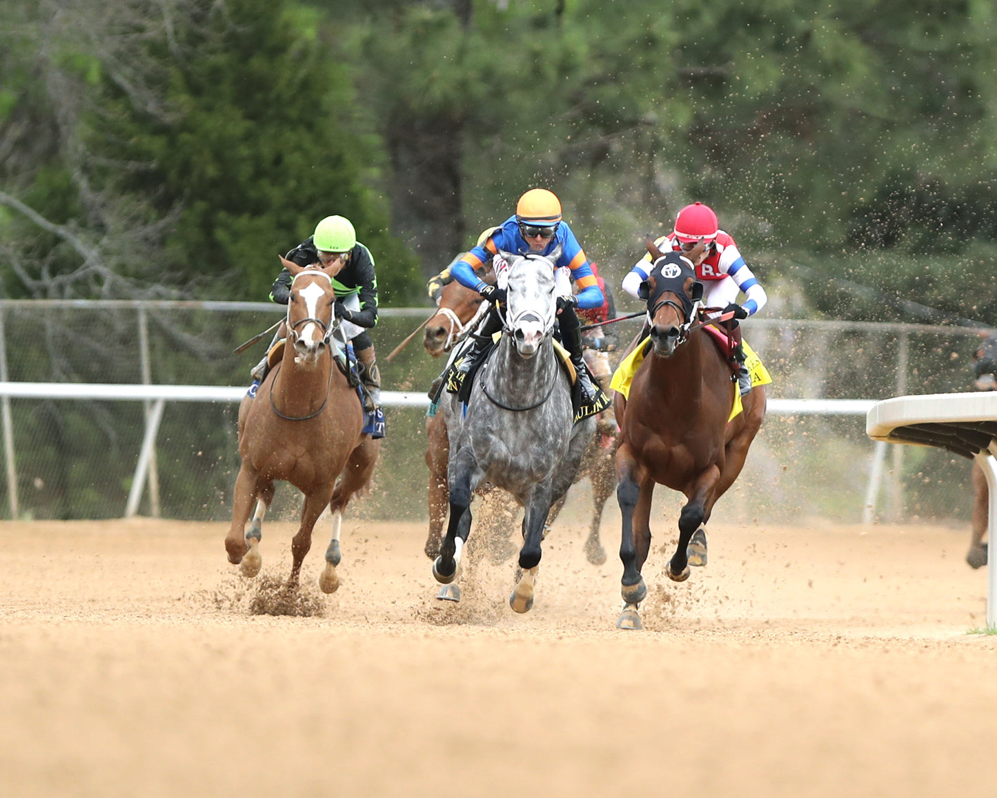 HAULIN ICE - Matron Stakes - 03-27-26 - R09 - OP - Turn 01 - Coady Media - Kurtis Coady Photography