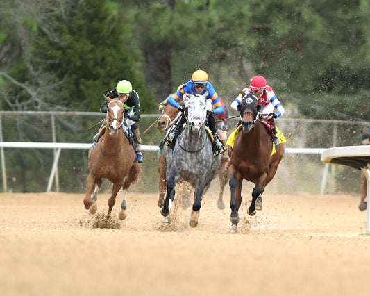 HAULIN ICE - Matron Stakes - 03-27-26 - R09 - OP - Turn 01 - Coady Media - Kurtis Coady Photography
