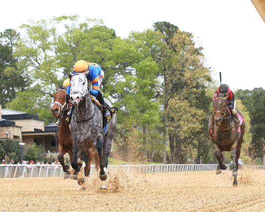 HAULIN ICE - Matron Stakes - 03-27-26 - R09 - OP - Under Rail 01 - Coady Media - Kurtis Coady Photography