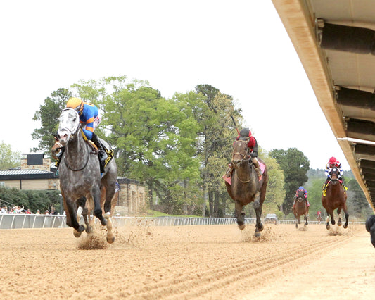HAULIN ICE - Matron Stakes - 03-27-26 - R09 - OP - Under Rail 02 - Coady Media - Kurtis Coady Photography