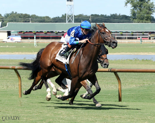 HOPE MISSION - The Ellis Park Turf Stakes - 08-24-25 - R08 - ELP - Finish 02