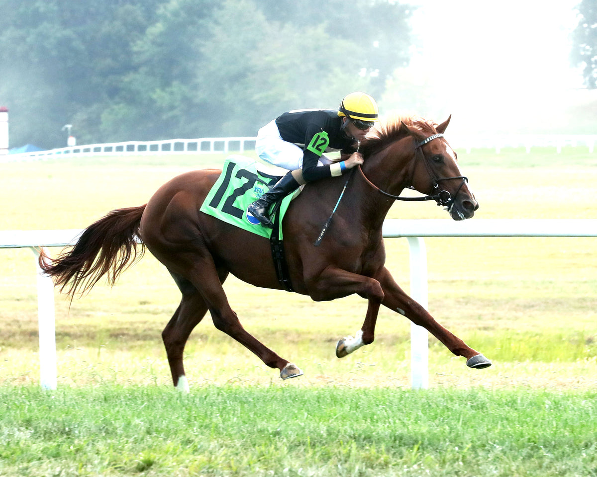 HOW'S AL TODAY - Kentucky Downs Juvenille Mile - 09-09-26 - R11 - KD - Finish 02