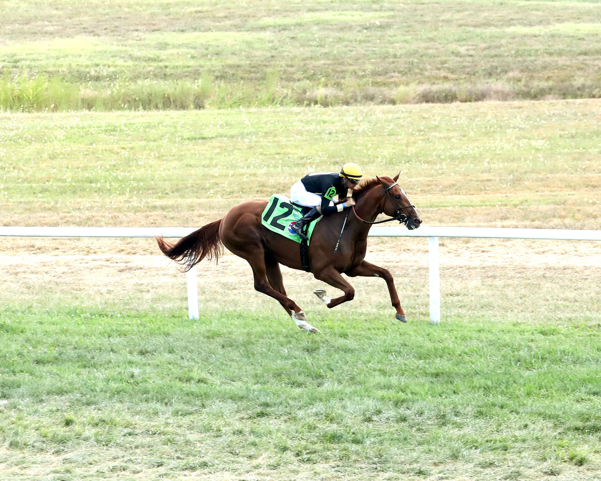 HOW'S AL TODAY - Kentucky Downs Juvenille Mile - 09-09-26 - R11 - KD - Finish 04