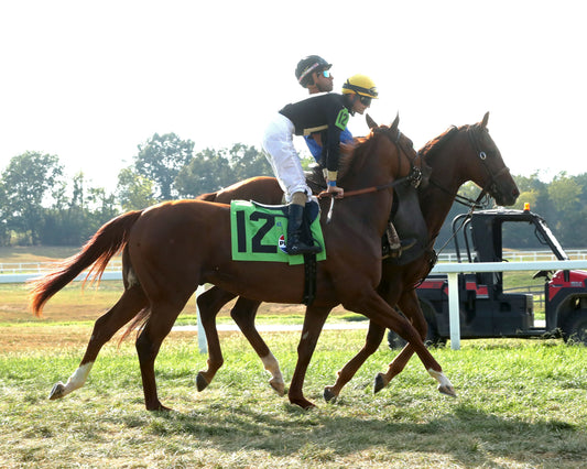 HOW'S AL TODAY - Kentucky Downs Juvenille Mile - 09-09-26 - R11 - KD - Post Parade 01
