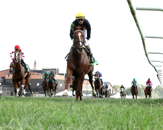 HOW'S AL TODAY - Kentucky Downs Juvenille Mile - 09-09-26 - R11 - KD - Under Rail 01