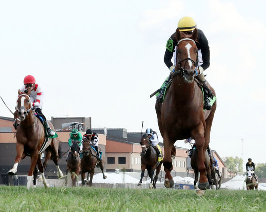 HOW'S AL TODAY - Kentucky Downs Juvenille Mile - 09-09-26 - R11 - KD - Under Rail 02