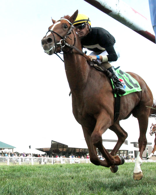 HOW'S AL TODAY - Kentucky Downs Juvenille Mile - 09-09-26 - R11 - KD - Under Rail 03