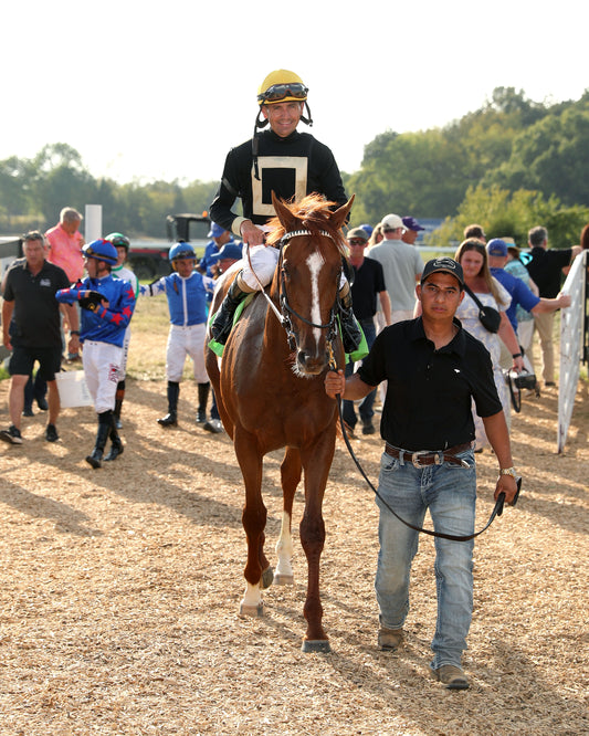 HOW'S AL TODAY - Kentucky Downs Juvenille Mile - 09-09-26 - R11 - KD - Walk In 01