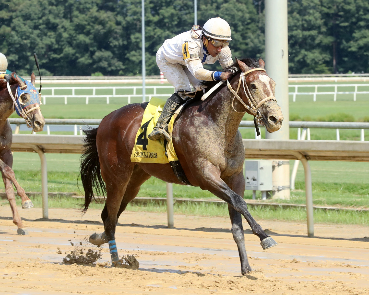 I FEEL LUCKY - The Hickory Tree Stakes - 08-02-26 - R07 - CNL - Finish 02