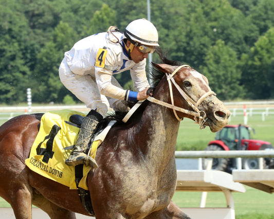 I FEEL LUCKY - The Hickory Tree Stakes - 08-02-26 - R07 - CNL - Finish 03