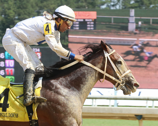 I FEEL LUCKY - The Hickory Tree Stakes - 08-02-26 - R07 - CNL - Gallop Out 01