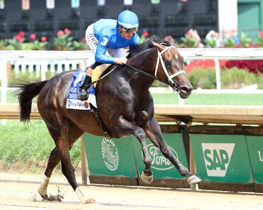 IMMERSIVE - Fleur De Lis - 062726 - Race 07 - CD - First Pass 02
