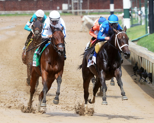 IMMERSIVE - Fleur De Lis - 062726 - Race 07 - CD - First Turn 01
