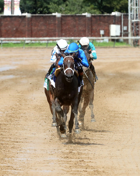 IMMERSIVE - Fleur De Lis - 062726 - Race 07 - CD - Head On 01