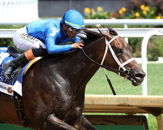 IMMERSIVE - Fleur De Lis - 062726 - Race 07 - CD - Tight Finish 01