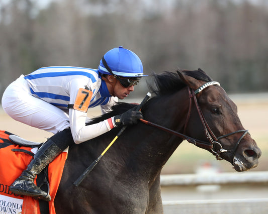 INCREDIBOLT - The Virginia Derby - 03-14-26 - R09 - CNL - Close Finish 01 - Coady Media - Kurtis Coady Photography