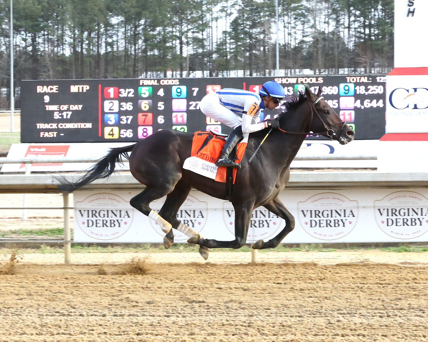 INCREDIBOLT - The Virginia Derby - 03-14-26 - R09 - CNL - Finish 01 - Coady Media - Kurtis Coady Photography