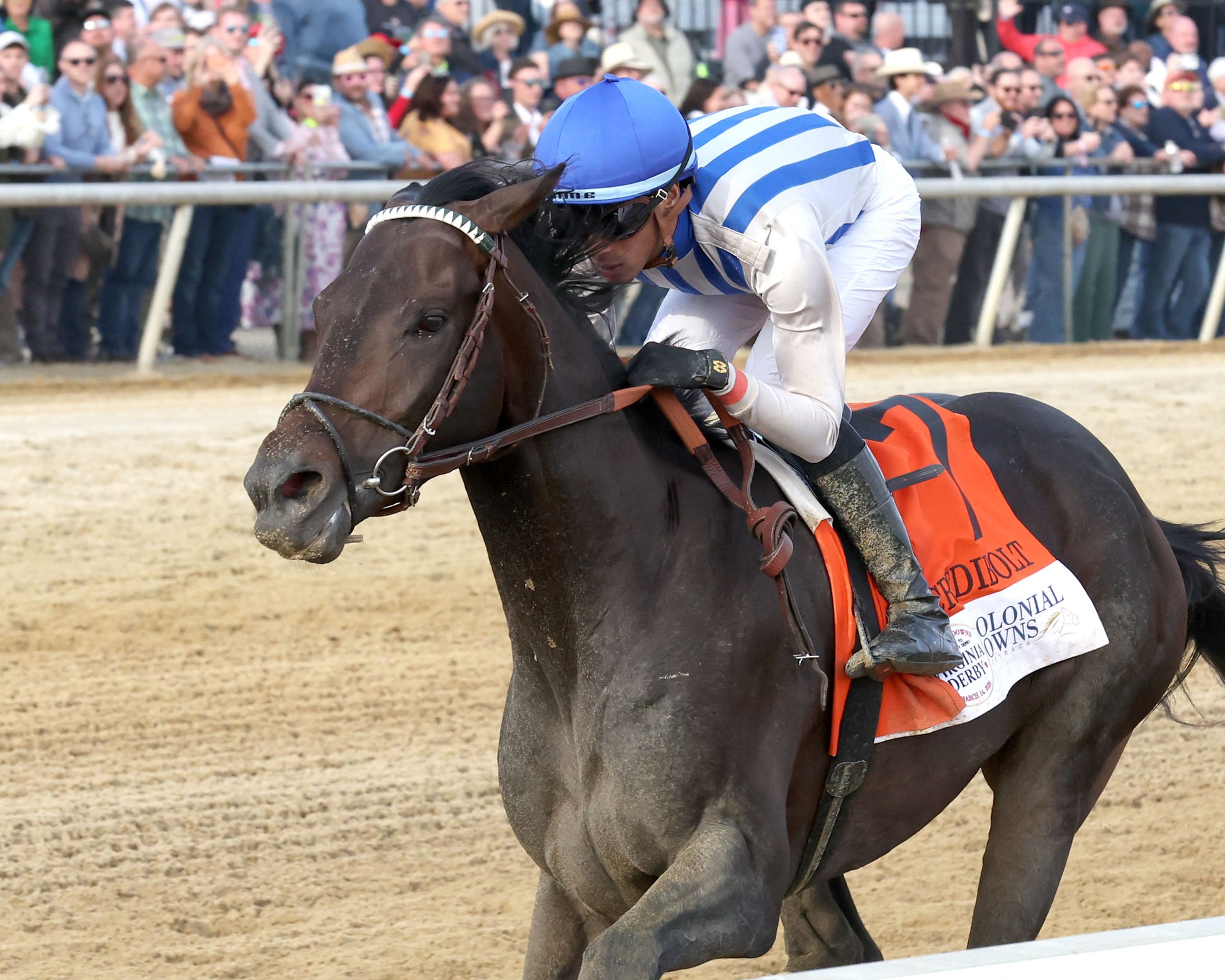 INCREDIBOLT - The Virginia Derby - 03-14-26 - R09 - CNL - Inside Finish 01 - Coady Media - Kurtis Coady Photography