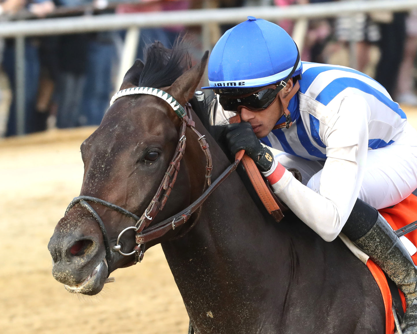 INCREDIBOLT - The Virginia Derby - 03-14-26 - R09 - CNL - Inside Finish 02 - Coady Media - Kurtis Coady Photography