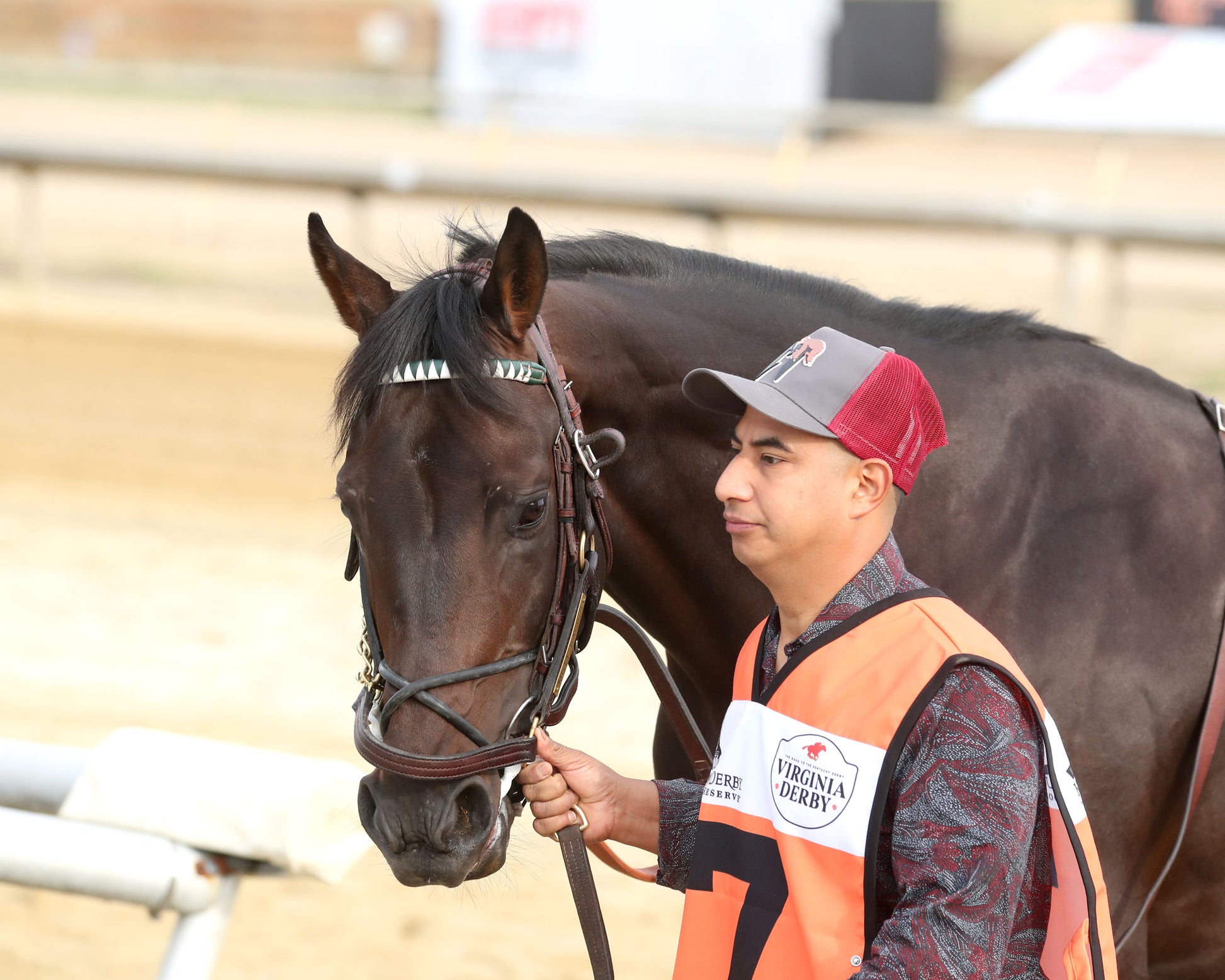 INCREDIBOLT - The Virginia Derby - 03-14-26 - R09 - CNL - Paddock 01 - Coady Media - Kurtis Coady Photography