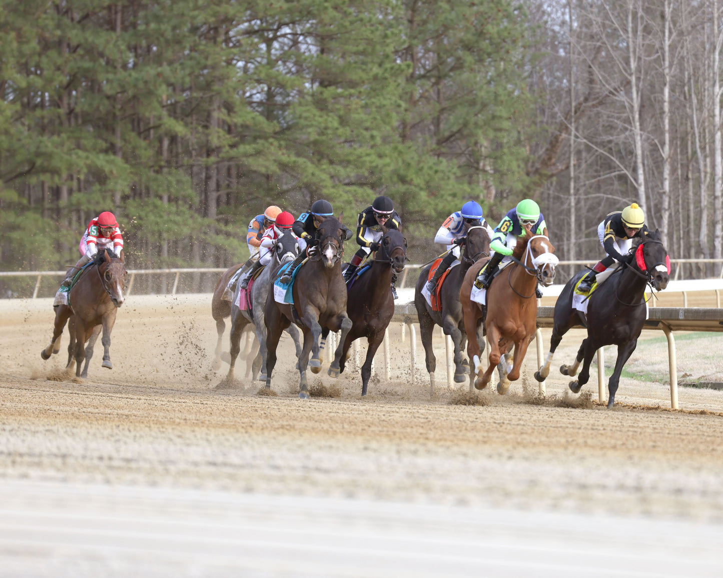 INCREDIBOLT - The Virginia Derby - 03-14-26 - R09 - CNL - Turn 01 - Coady Media - Kurtis Coady Photography
