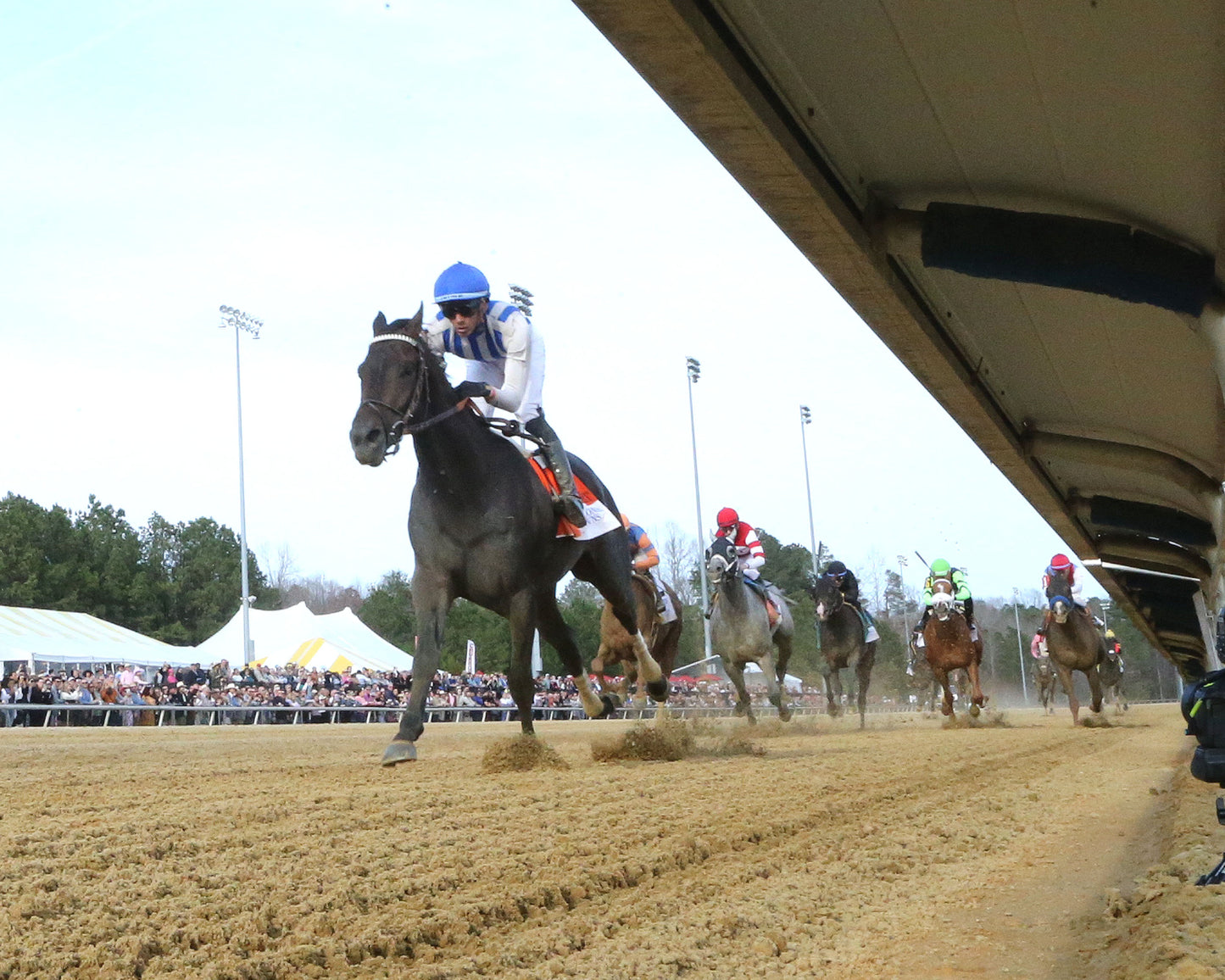 INCREDIBOLT - The Virginia Derby - 03-14-26 - R09 - CNL - Under Rail 01 - Coady Media - Kurtis Coady Photography