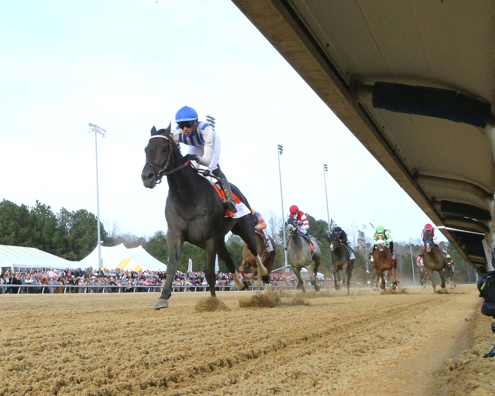 INCREDIBOLT - The Virginia Derby - 03-14-26 - R09 - CNL - Under Rail 01 - Coady Media - Kurtis Coady Photography