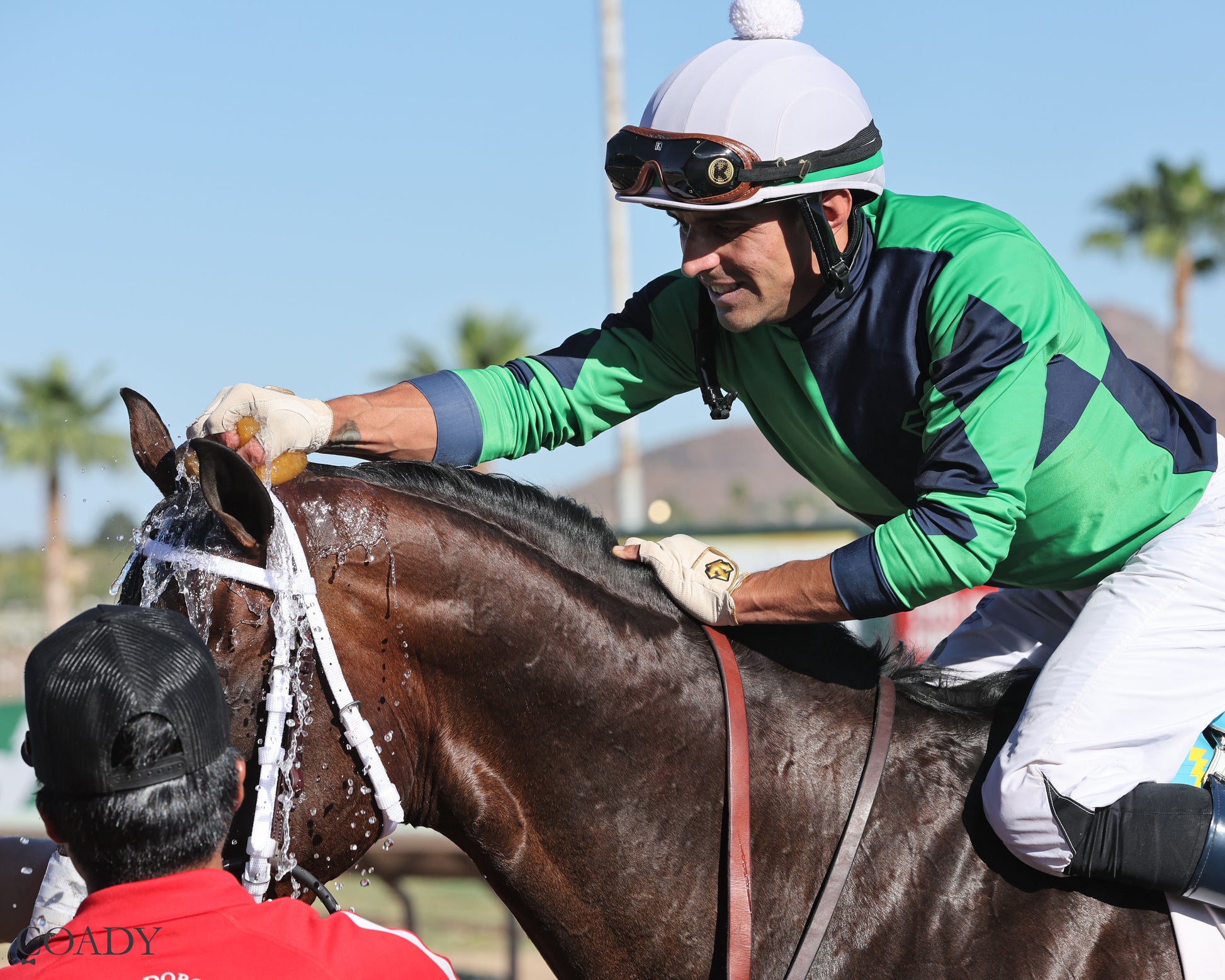 INDEPENDENCE RISE - Turf Paradise Derby - 03-21-26 - R05 - TUP 001 - Coady Media - Kurtis Coady Photography