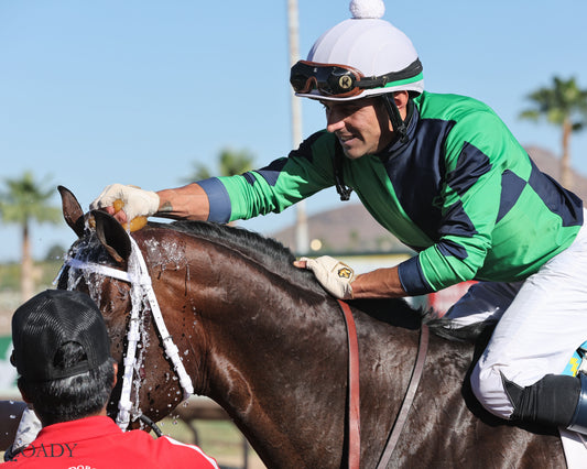INDEPENDENCE RISE - Turf Paradise Derby - 03-21-26 - R05 - TUP 001 - Coady Media - Kurtis Coady Photography
