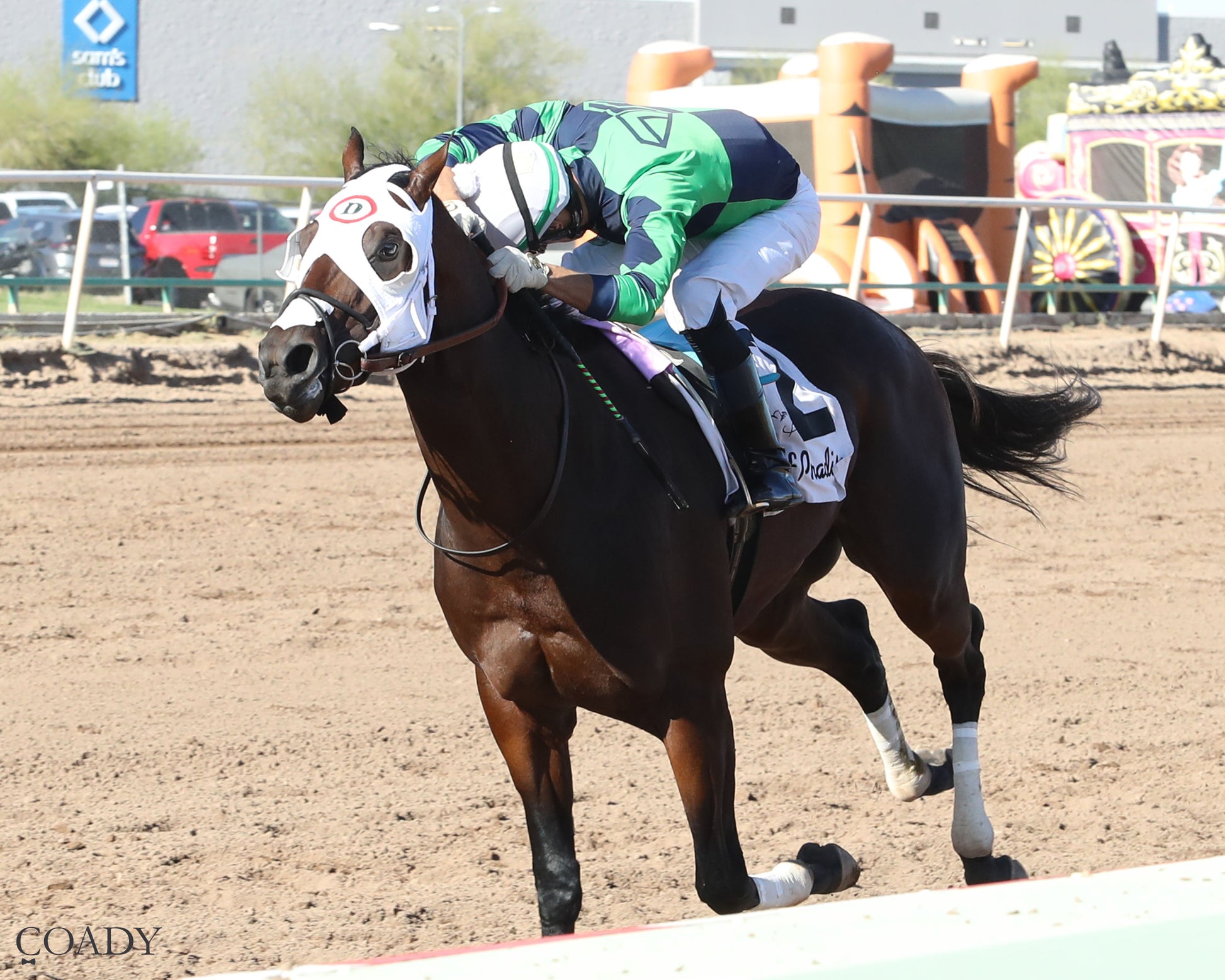 INDEPENDENCE RISE - Turf Paradise Derby - 03-21-26 - R05 - Inside Finish - Coady Media - Kurtis Coady Photography
