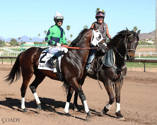 INDEPENDENCE RISE - Turf Paradise Derby - 03-21-26 - R05 -Post Parade - Coady Media - Kurtis Coady Photography