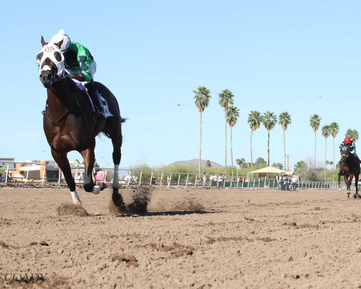 INDEPENDENCE RISE - Turf Paradise Derby - 03-21-26 - R05 - Under Rail - Coady Media - Kurtis Coady Photography
