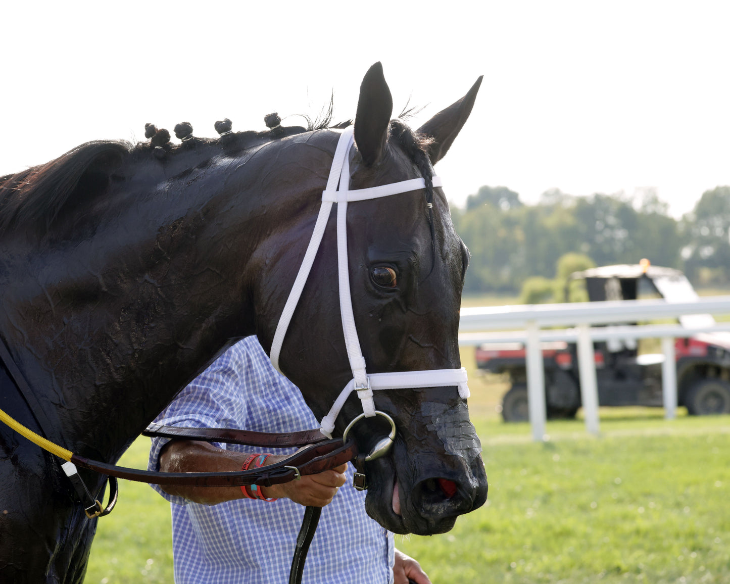 IN OUR TIME - Kentucky Downs Ladies Turf Sprint - G1 - 08-29-26 - R07 - KD - Come Back 05
