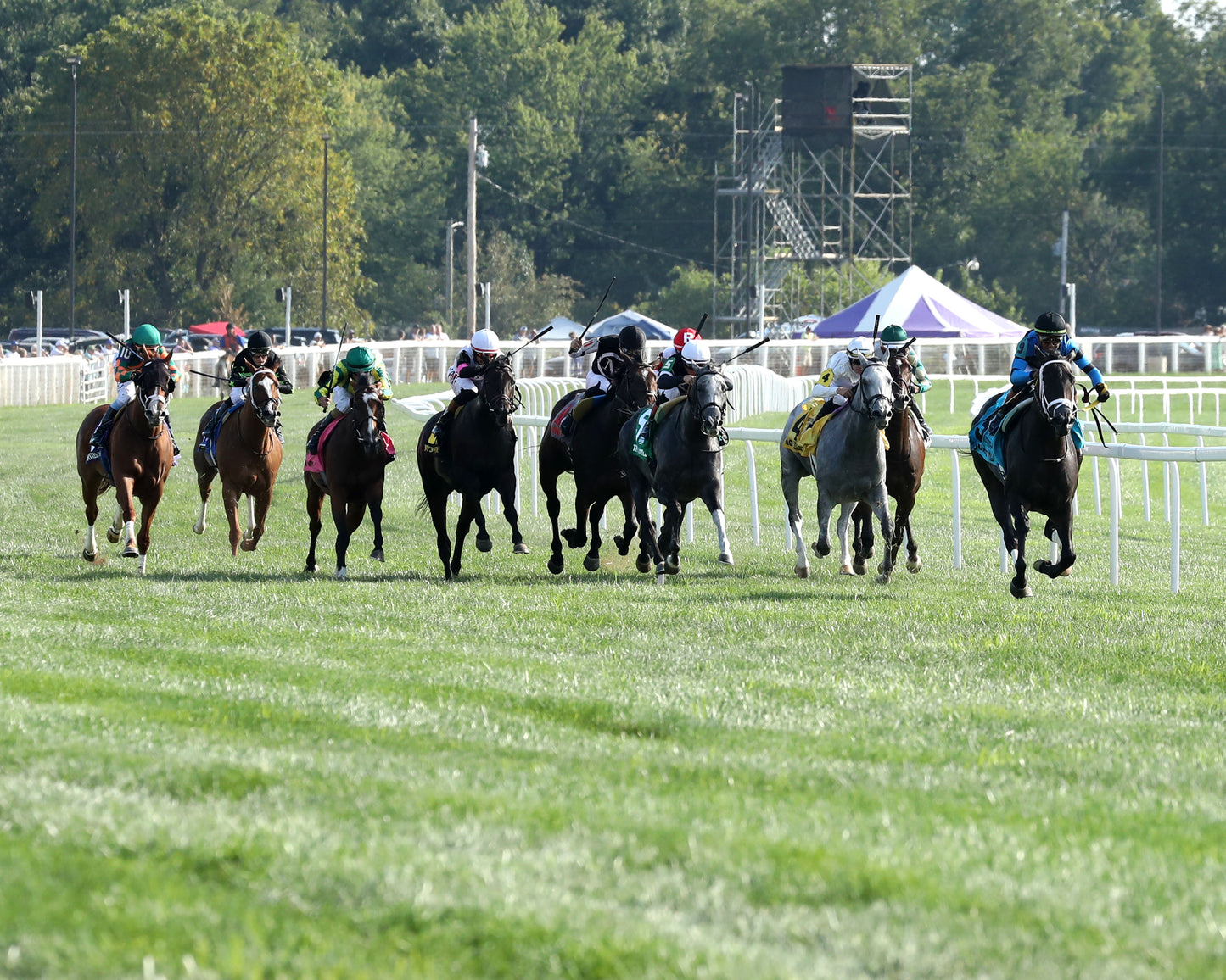 IN OUR TIME - Kentucky Downs Ladies Turf Sprint - G1 - 08-29-26 - R07 - KD - Head On 01