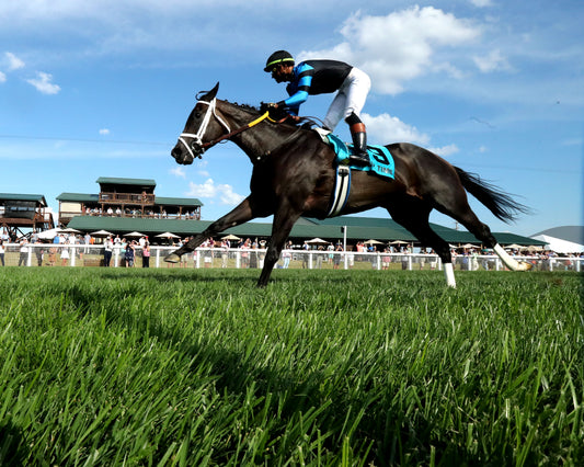 IN OUR TIME - Kentucky Downs Ladies Turf Sprint - G1 - 08-29-26 - R07 - KD - Under Rail 01