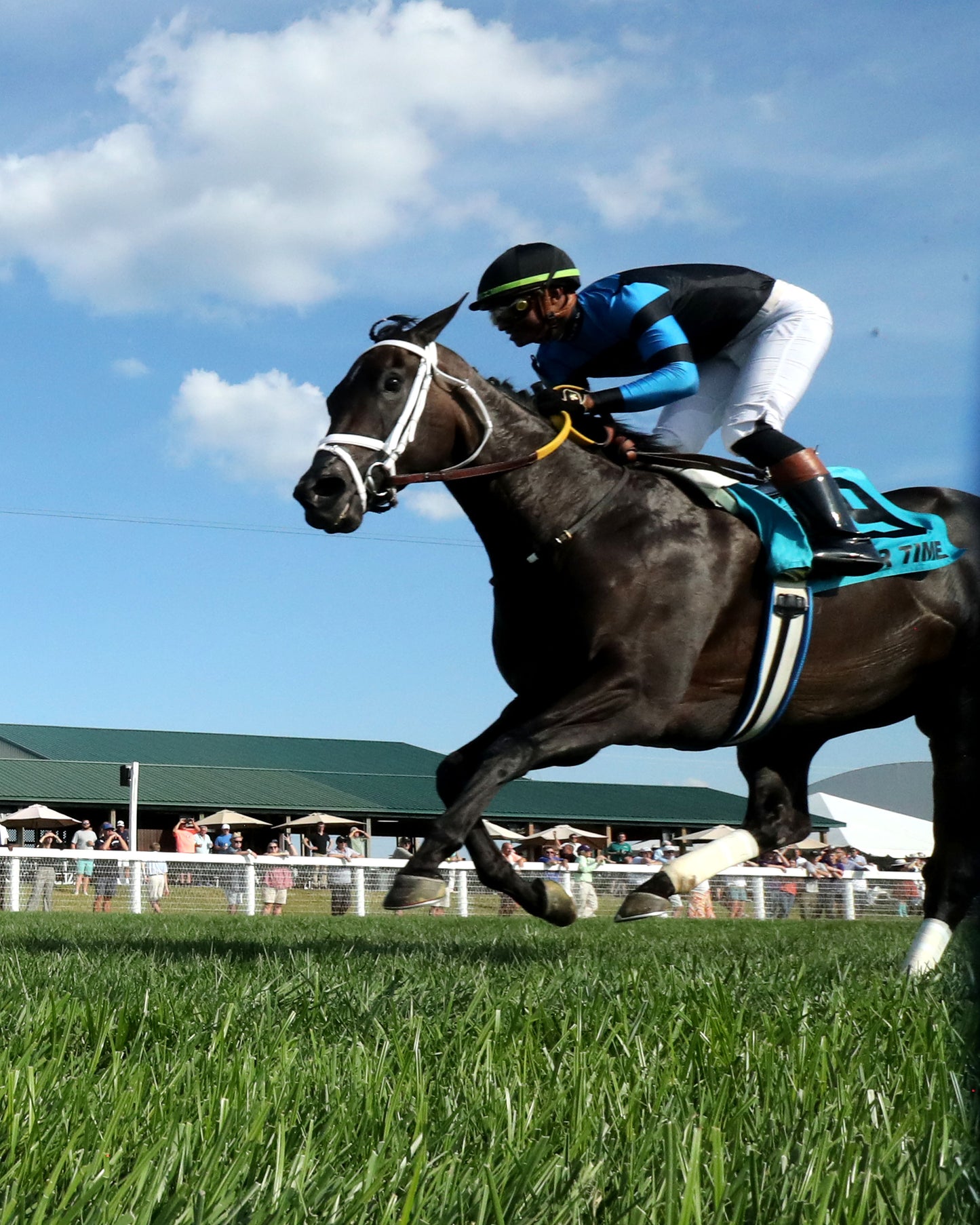 IN OUR TIME - Kentucky Downs Ladies Turf Sprint - G1 - 08-29-26 - R07 - KD - Under Rail 02