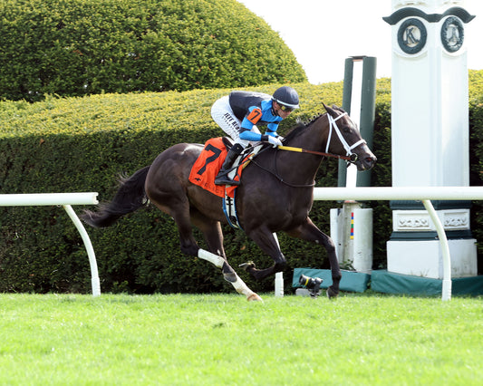 IN OUR TIME - The Giant's Causeway Grade 2  - 04-12-26 - R07 - KEE - Finish 01 - Coady Media - Kurtis Coady Photography