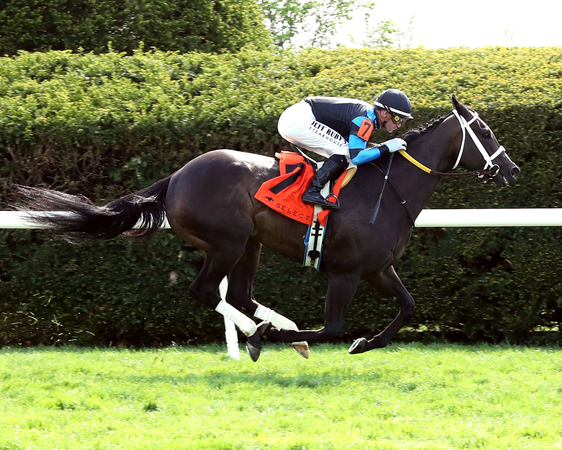 IN OUR TIME - The Giant's Causeway Grade 2  - 04-12-26 - R07 - KEE - Finish 02 - Coady Media - Kurtis Coady Photography